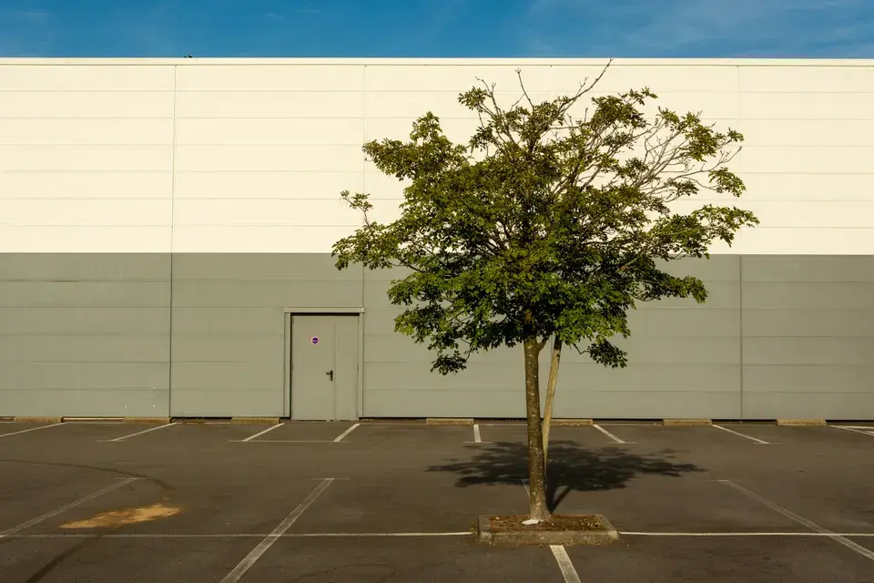 Exploring Rancho Cordova, CA in Rancho Cordova